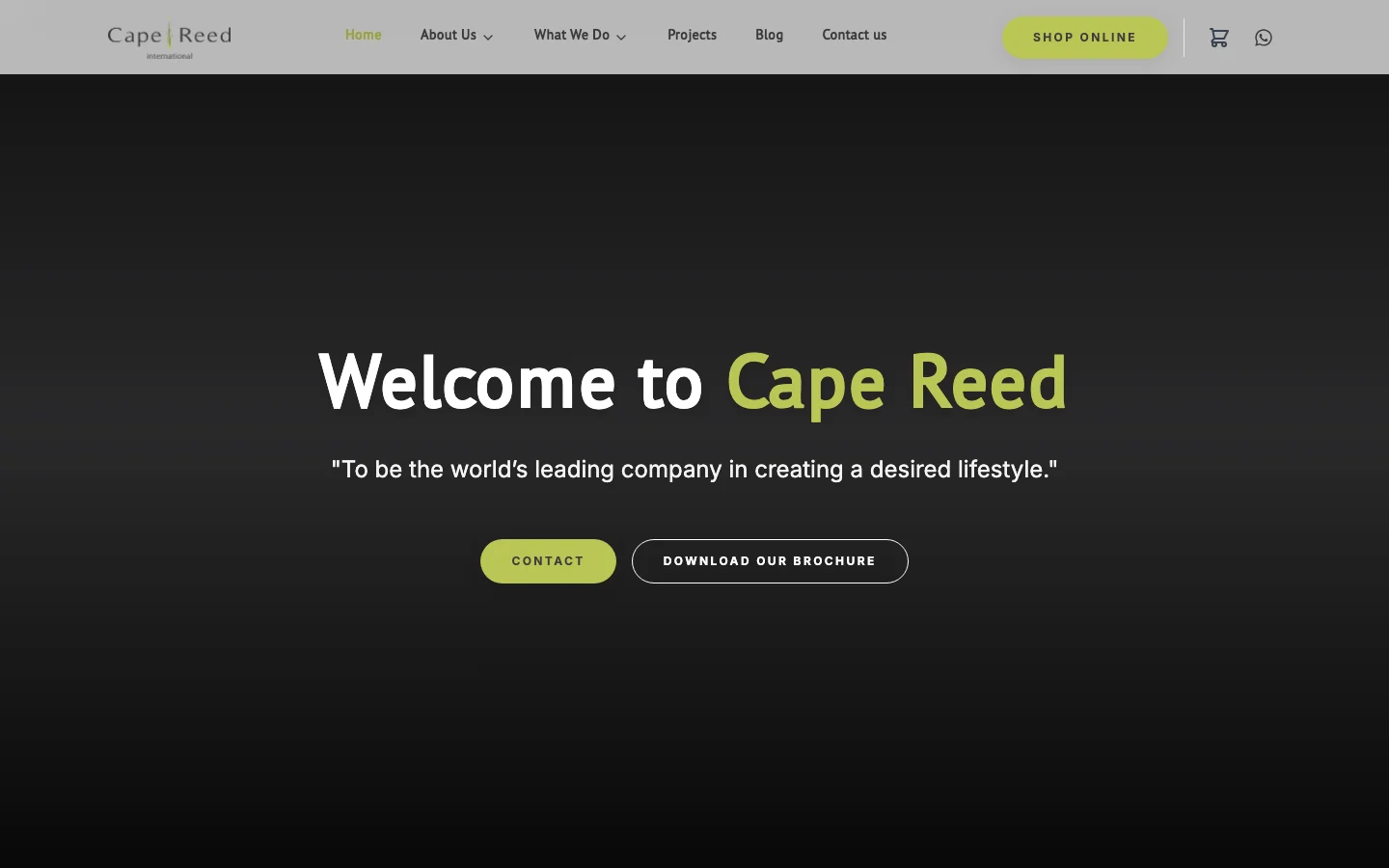 Cape Reed International